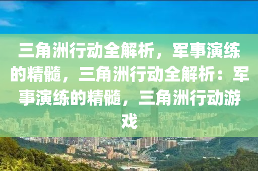 三角洲行动全解析，军事演练的精髓，三角洲行动全解析：军事演练的精髓，三角洲行动游戏