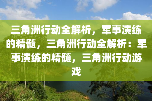 三角洲行动全解析,军事演练的精髓,三角洲行动全解析:军事演练的精髓,三角洲行动游戏