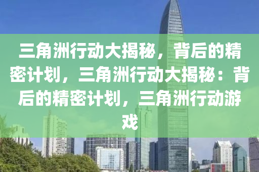 三角洲行动大揭秘，背后的精密计划，三角洲行动大揭秘：背后的精密计划，三角洲行动游戏