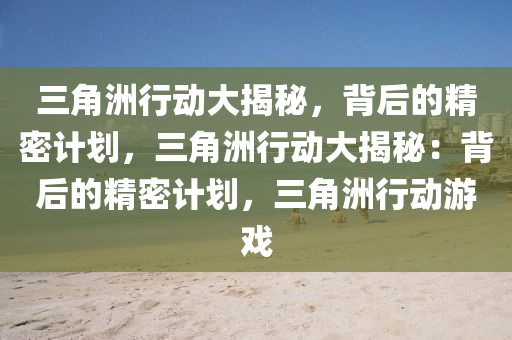 三角洲行动大揭秘,背后的精密计划,三角洲行动大揭秘:背后的精密计划,三角洲行动游戏