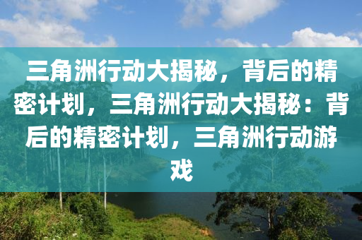 三角洲行动大揭秘，背后的精密计划，三角洲行动大揭秘：背后的精密计划，三角洲行动游戏