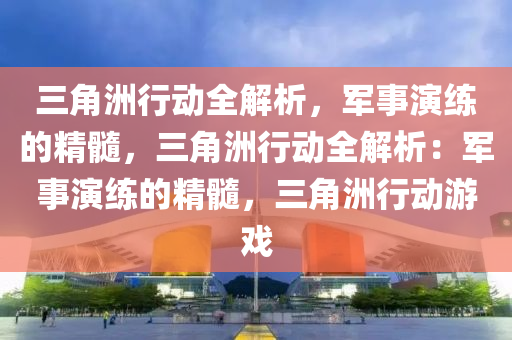 三角洲行动全解析，军事演练的精髓，三角洲行动全解析：军事演练的精髓，三角洲行动游戏