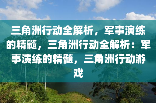 三角洲行动全解析,军事演练的精髓,三角洲行动全解析:军事演练的精髓,三角洲行动游戏
