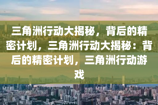 三角洲行动大揭秘，背后的精密计划，三角洲行动大揭秘：背后的精密计划，三角洲行动游戏