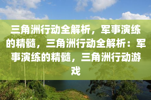 三角洲行动全解析，军事演练的精髓，三角洲行动全解析：军事演练的精髓，三角洲行动游戏
