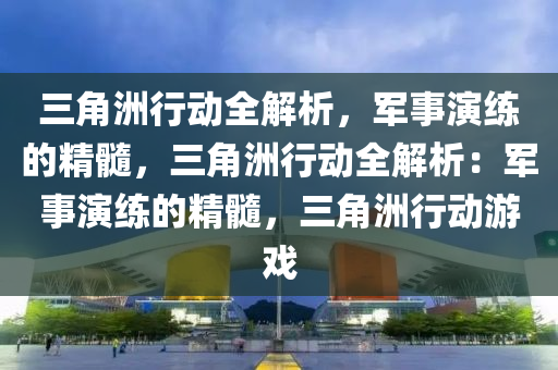 三角洲行动全解析,军事演练的精髓,三角洲行动全解析:军事演练的精髓,三角洲行动游戏