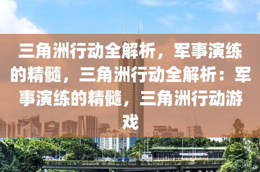 三角洲行动全解析,军事演练的精髓,三角洲行动全解析:军事演练的精髓,三角洲行动游戏