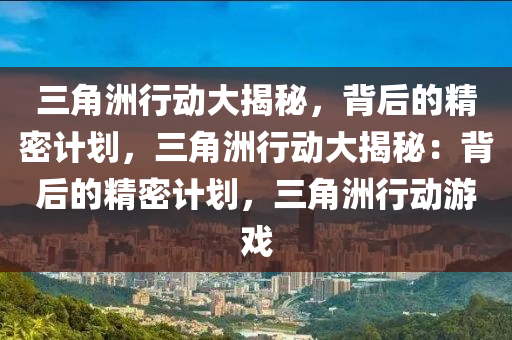 三角洲行动大揭秘，背后的精密计划，三角洲行动大揭秘：背后的精密计划，三角洲行动游戏