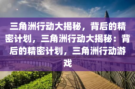 三角洲行动大揭秘，背后的精密计划，三角洲行动大揭秘：背后的精密计划，三角洲行动游戏