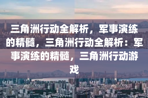 三角洲行动全解析,军事演练的精髓,三角洲行动全解析:军事演练的精髓,三角洲行动游戏
