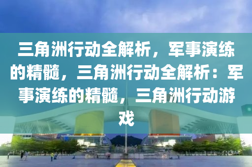 三角洲行动全解析，军事演练的精髓，三角洲行动全解析：军事演练的精髓，三角洲行动游戏