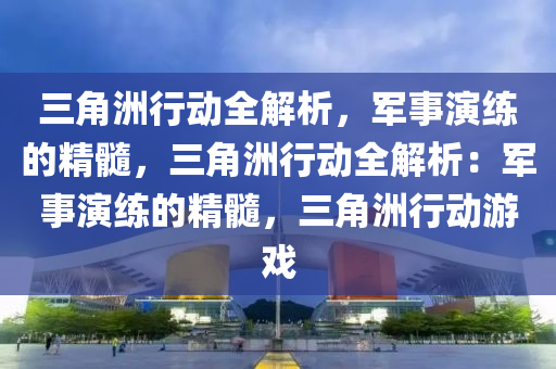 三角洲行动全解析,军事演练的精髓,三角洲行动全解析:军事演练的精髓,三角洲行动游戏