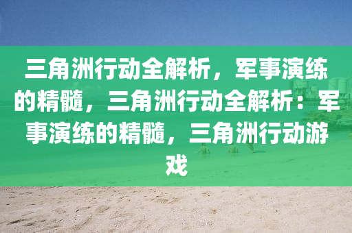 三角洲行动全解析,军事演练的精髓,三角洲行动全解析:军事演练的精髓,三角洲行动游戏