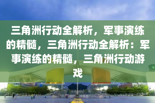 三角洲行动全解析,军事演练的精髓,三角洲行动全解析:军事演练的精髓,三角洲行动游戏