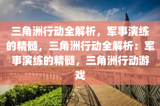 三角洲行动全解析,军事演练的精髓,三角洲行动全解析:军事演练的精髓,三角洲行动游戏