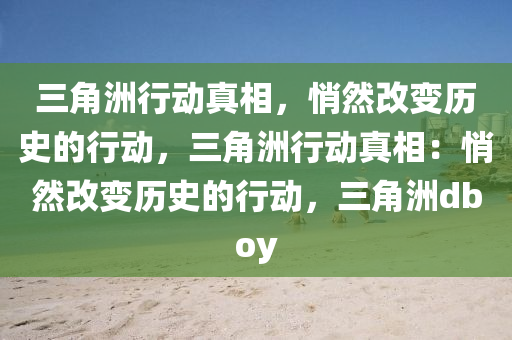 三角洲行动真相,悄然改变历史的行动,三角洲行动真相:悄然改变历史的行动,三角洲dboy