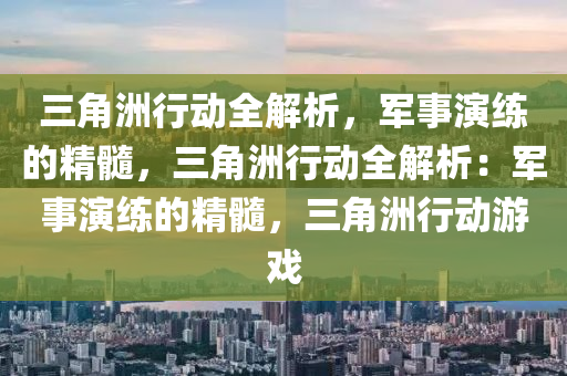 三角洲行动全解析,军事演练的精髓,三角洲行动全解析:军事演练的精髓,三角洲行动游戏