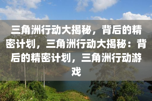三角洲行动大揭秘，背后的精密计划，三角洲行动大揭秘：背后的精密计划，三角洲行动游戏