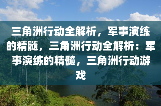 三角洲行动全解析，军事演练的精髓，三角洲行动全解析：军事演练的精髓，三角洲行动游戏