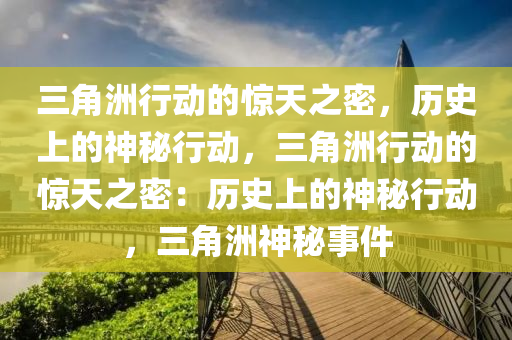 三角洲行动的惊天之密，历史上的神秘行动，三角洲行动的惊天之密：历史上的神秘行动，三角洲神秘事件