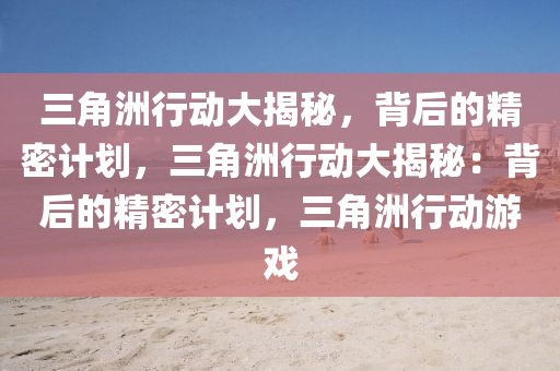 三角洲行动大揭秘，背后的精密计划，三角洲行动大揭秘：背后的精密计划，三角洲行动游戏