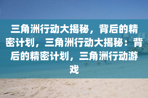 三角洲行动大揭秘，背后的精密计划，三角洲行动大揭秘：背后的精密计划，三角洲行动游戏
