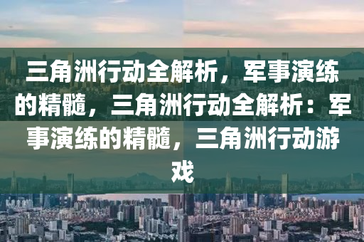 三角洲行动全解析，军事演练的精髓，三角洲行动全解析：军事演练的精髓，三角洲行动游戏