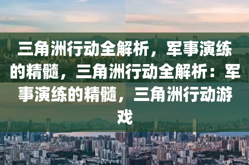 三角洲行动全解析,军事演练的精髓,三角洲行动全解析:军事演练的精髓,三角洲行动游戏