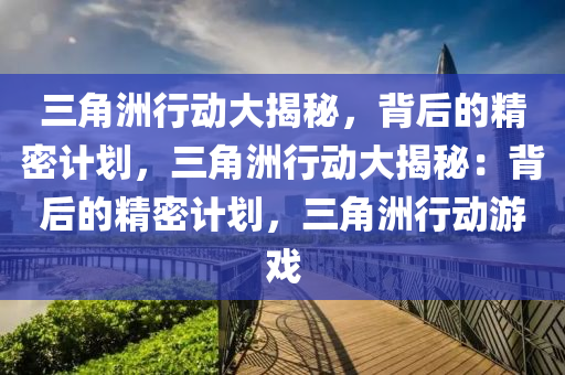 三角洲行动大揭秘，背后的精密计划，三角洲行动大揭秘：背后的精密计划，三角洲行动游戏