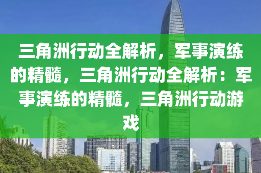 三角洲行动全解析,军事演练的精髓,三角洲行动全解析:军事演练的精髓,三角洲行动游戏