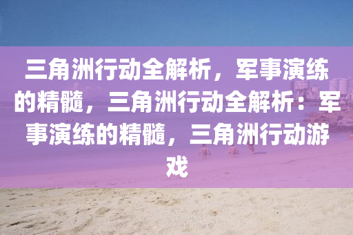 三角洲行动全解析，军事演练的精髓，三角洲行动全解析：军事演练的精髓，三角洲行动游戏