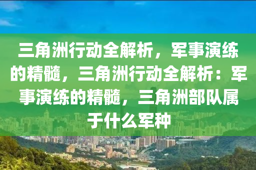 三角洲行动全解析，军事演练的精髓，三角洲行动全解析：军事演练的精髓，三角洲部队属于什么军种