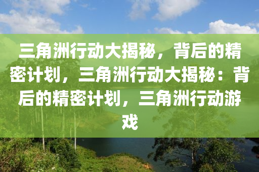 三角洲行动大揭秘，背后的精密计划，三角洲行动大揭秘：背后的精密计划，三角洲行动游戏