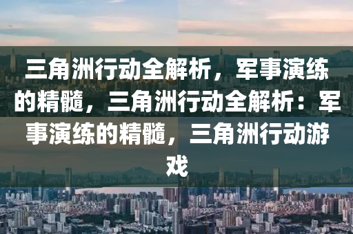 三角洲行动全解析,军事演练的精髓,三角洲行动全解析:军事演练的精髓,三角洲行动游戏