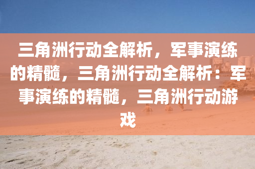 三角洲行动全解析，军事演练的精髓，三角洲行动全解析：军事演练的精髓，三角洲行动游戏