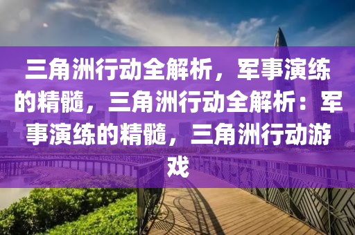 三角洲行动全解析,军事演练的精髓,三角洲行动全解析:军事演练的精髓,三角洲行动游戏