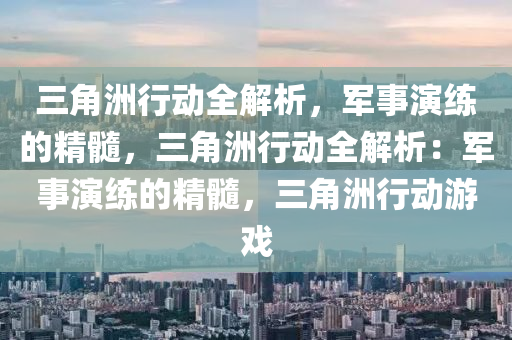 三角洲行动全解析，军事演练的精髓，三角洲行动全解析：军事演练的精髓，三角洲行动游戏