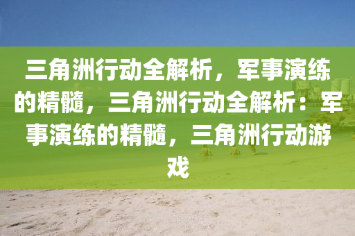 三角洲行动全解析,军事演练的精髓,三角洲行动全解析:军事演练的精髓,三角洲行动游戏