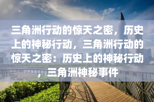 三角洲行动的惊天之密，历史上的神秘行动，三角洲行动的惊天之密：历史上的神秘行动，三角洲神秘事件