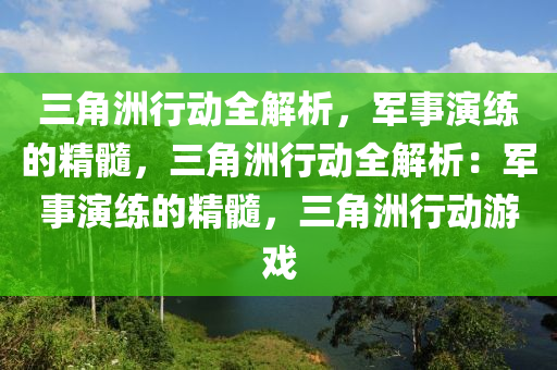 三角洲行动全解析,军事演练的精髓,三角洲行动全解析:军事演练的精髓,三角洲行动游戏