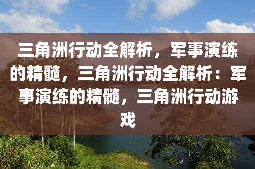 三角洲行动全解析,军事演练的精髓,三角洲行动全解析:军事演练的精髓,三角洲行动游戏