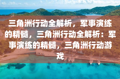 三角洲行动全解析,军事演练的精髓,三角洲行动全解析:军事演练的精髓,三角洲行动游戏
