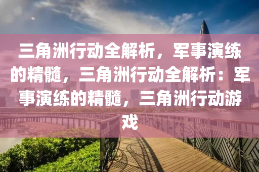三角洲行动全解析,军事演练的精髓,三角洲行动全解析:军事演练的精髓,三角洲行动游戏