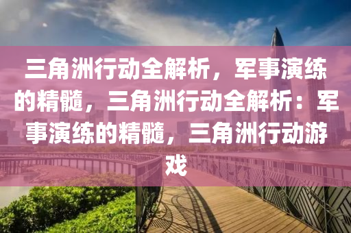 三角洲行动全解析,军事演练的精髓,三角洲行动全解析:军事演练的精髓,三角洲行动游戏
