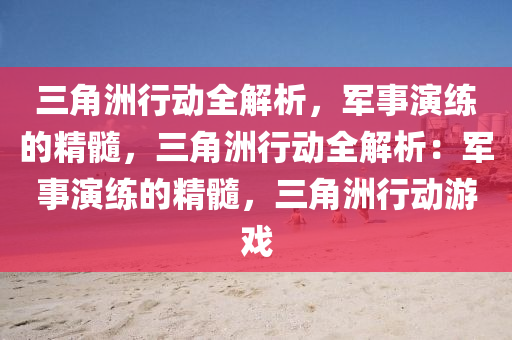 三角洲行动全解析,军事演练的精髓,三角洲行动全解析:军事演练的精髓,三角洲行动游戏