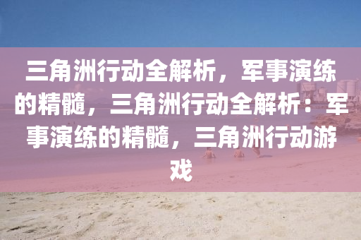 三角洲行动全解析,军事演练的精髓,三角洲行动全解析:军事演练的精髓,三角洲行动游戏